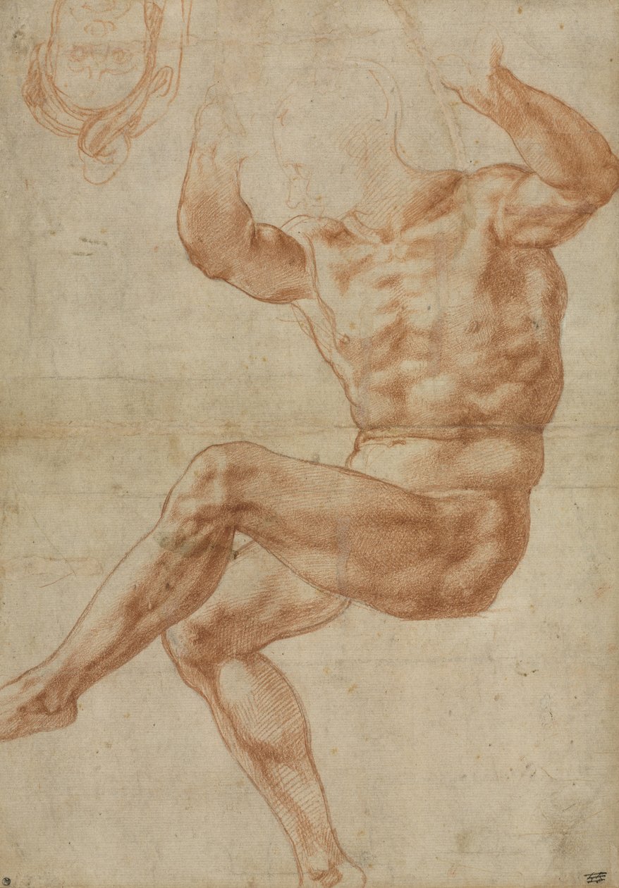 Estudio para el Joven Desnudo sobre el Profeta Daniel, para el techo de la Capilla Sixtina, 1510-11 de Michelangelo Buonarroti