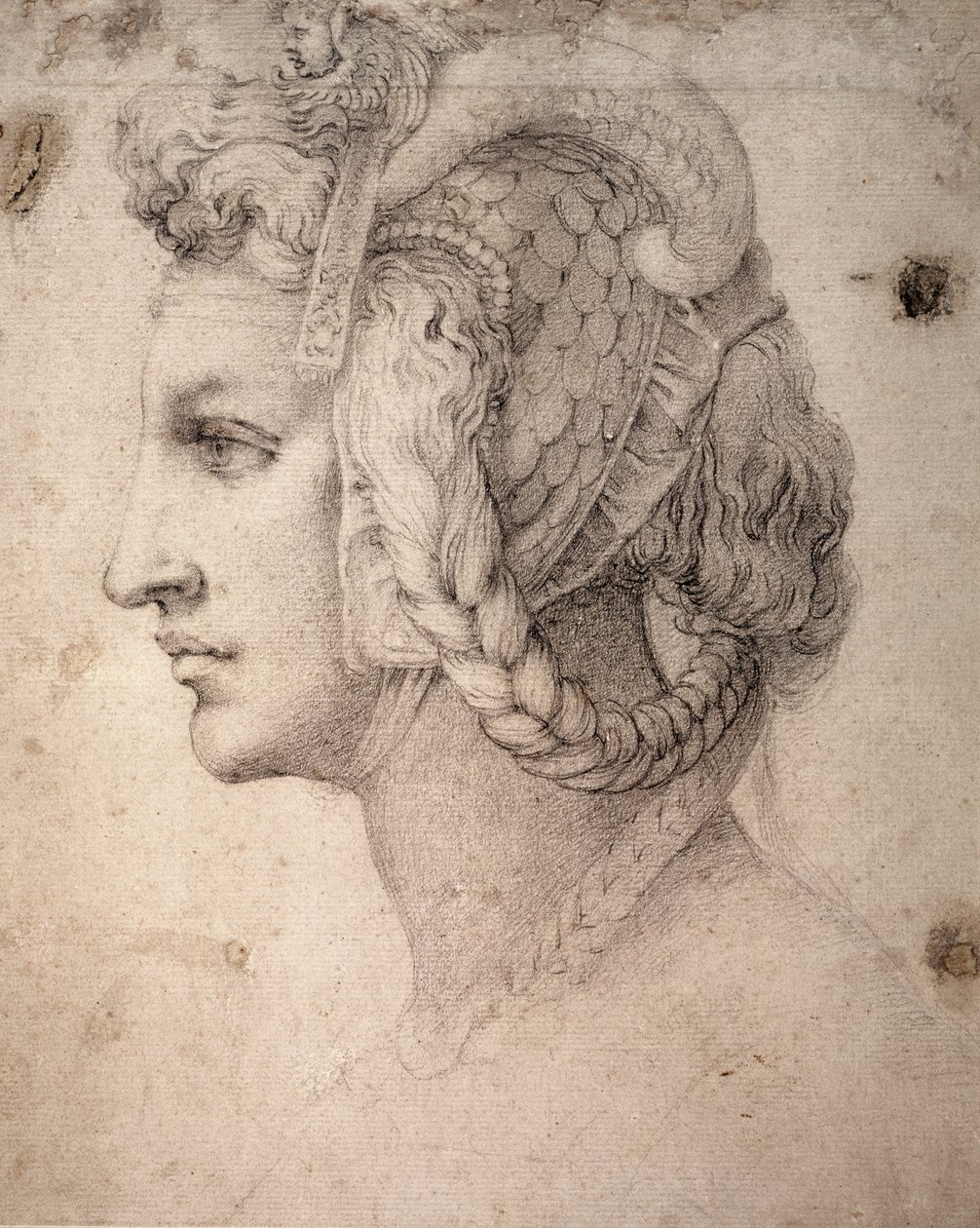 Estudio de Cabeza de Michelangelo Buonarroti