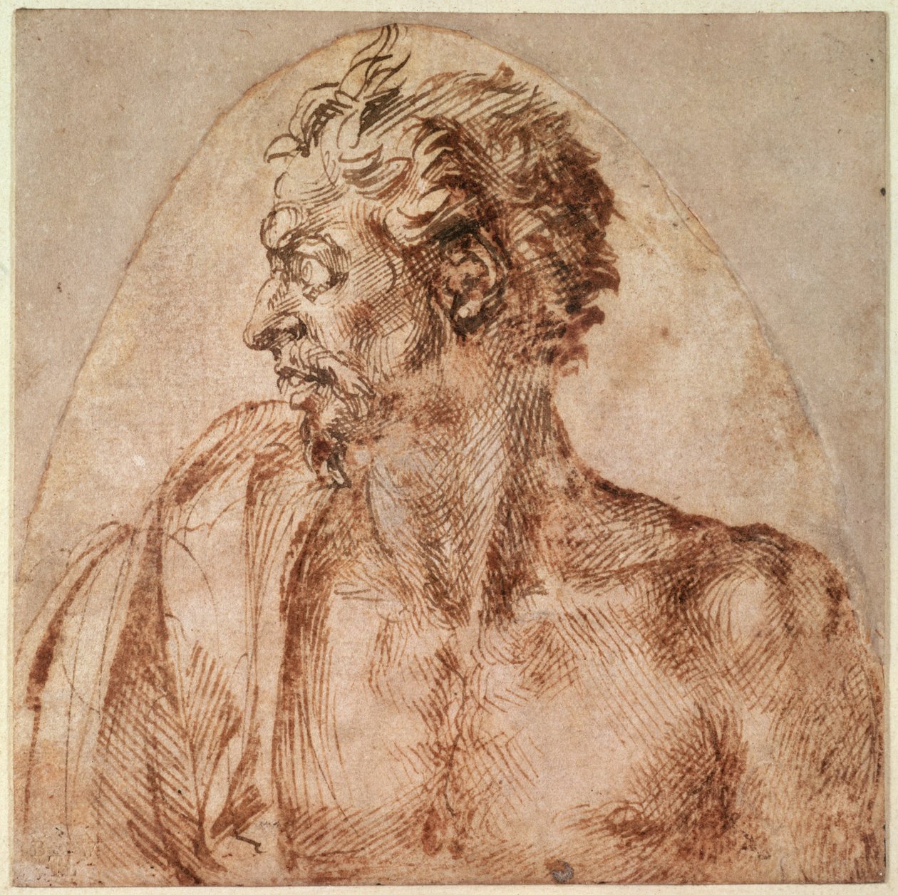 Estudio de cabeza y hombros de Michelangelo Buonarroti