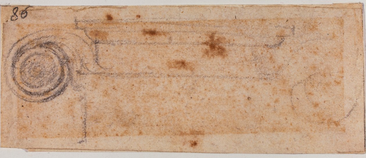Estudio del capital iónico de Michelangelo Buonarroti