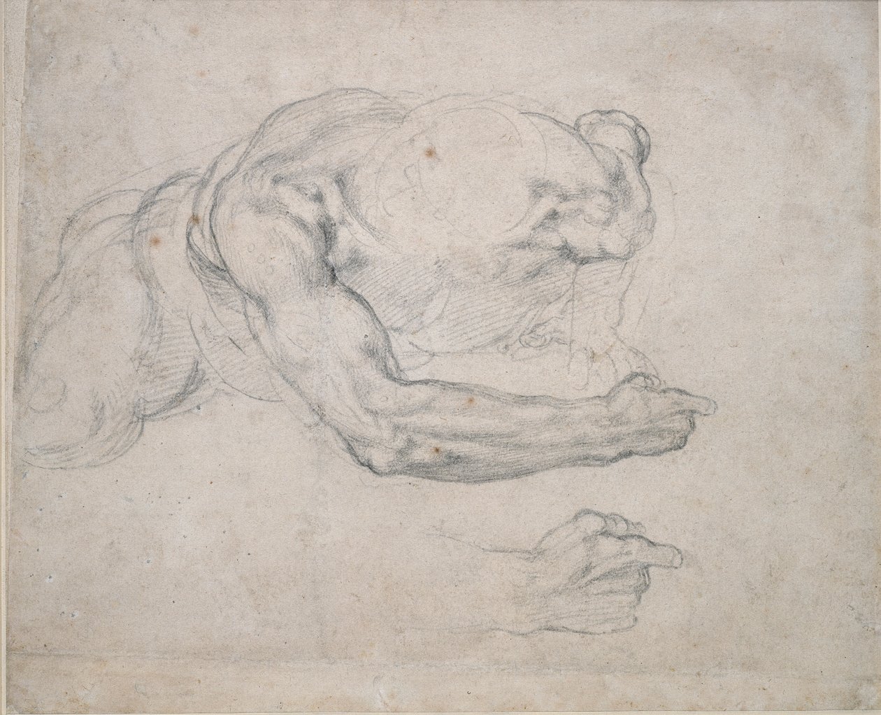 Estudio de un hombre levantándose del suelo, siglo XVI de Michelangelo Buonarroti