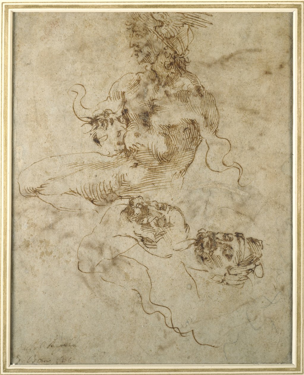 Estudio de un joven sentado, después de 15012 de Michelangelo Buonarroti