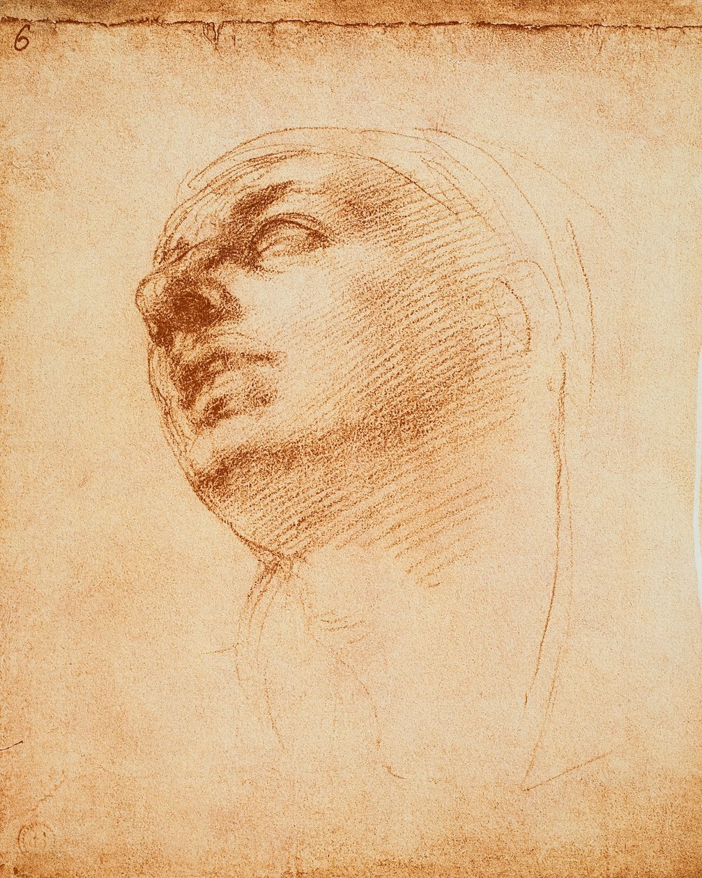 Estudio de un rostro de Michelangelo Buonarroti