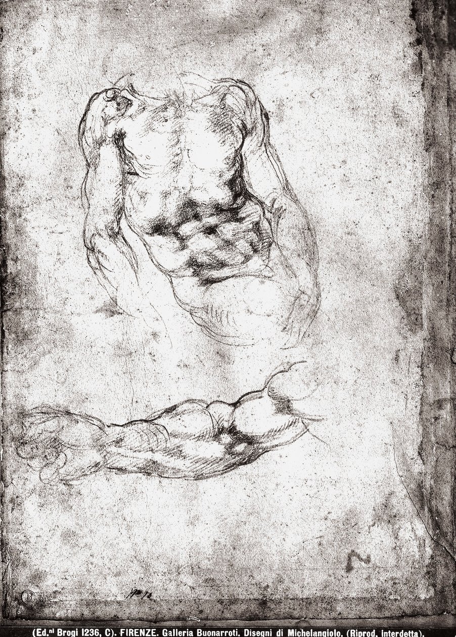 Estudio de un torso y brazo masculino de Michelangelo Buonarroti