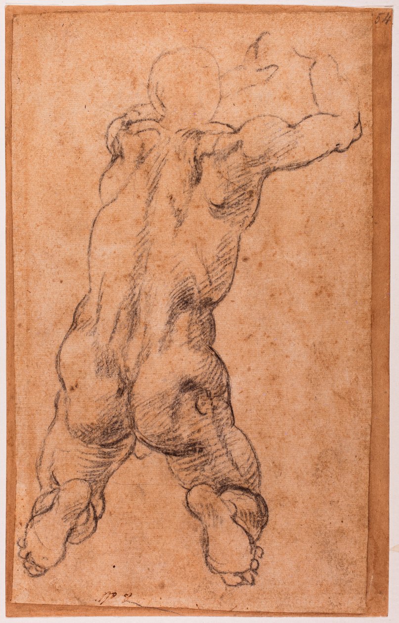 Estudio de desnudo masculino arrodillado de Michelangelo Buonarroti