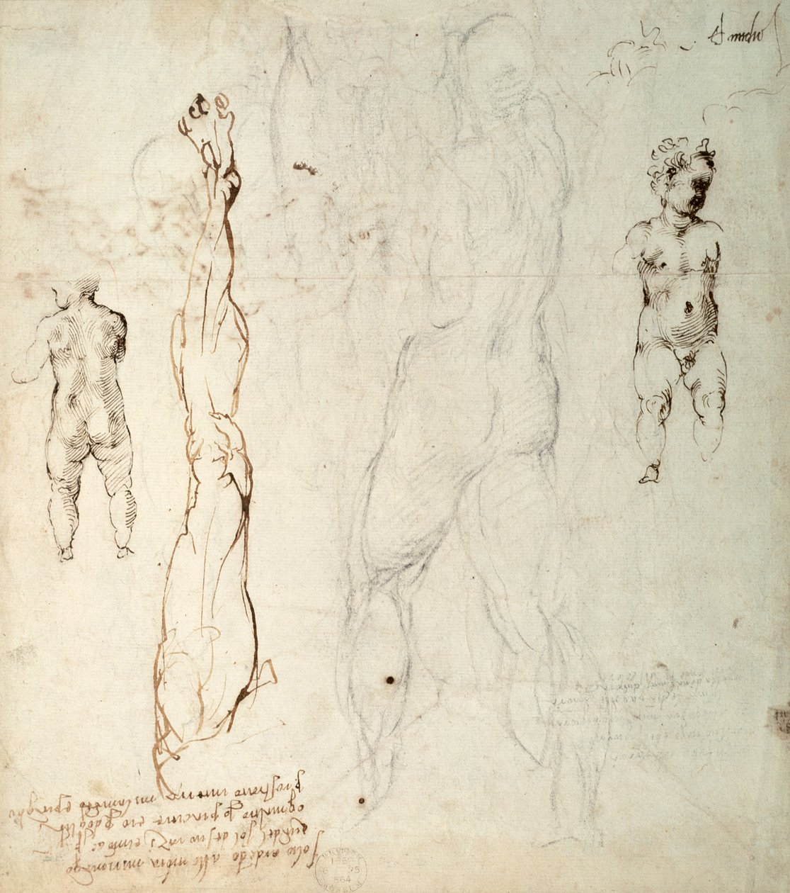 Estudio del Niño Jesús y un dibujo anatómico con notas (tiza negra y tinta marrón sobre papel) (verso) de Michelangelo Buonarroti