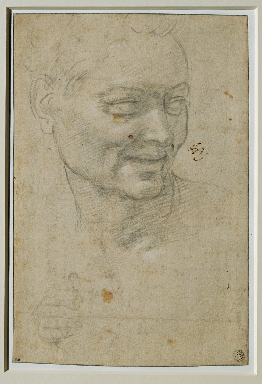 Cabeza y mano derecha del ignudo encima y a la izquierda de Isaías, en la bóveda de la Capella Sistina ... de Michelangelo Buonarroti