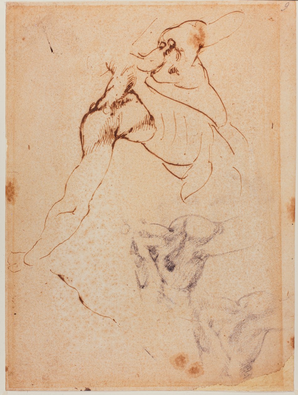 Estudio de torso para la "Batalla de Cascina", siglo XVI (dibujo) de Michelangelo Buonarroti