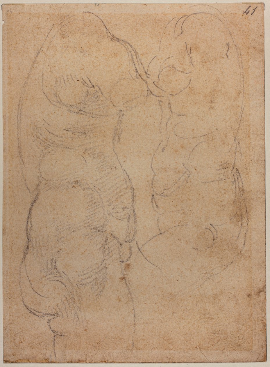 Dos estudios sobre una antigua Venus de Michelangelo Buonarroti