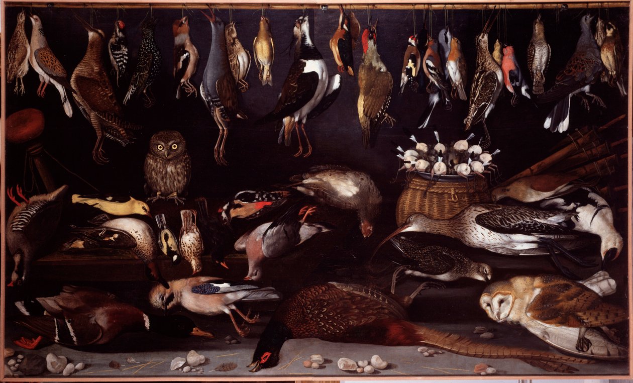 Naturaleza muerta con pájaros de Michelangelo Merisi da (attr. to) Caravaggio