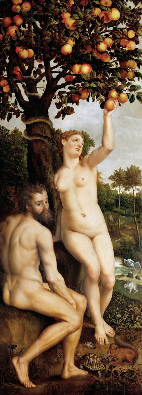 La caída del hombre de Michiel I Coxie or Coxcie