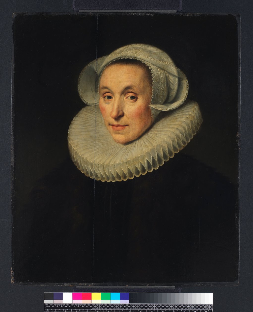 Retrato de una dama de Michiel Jansz. van Miereveld
