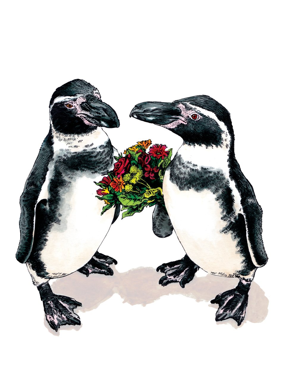 Aniversario Pingüinos sobre blanco, 2020 de Mike Davis