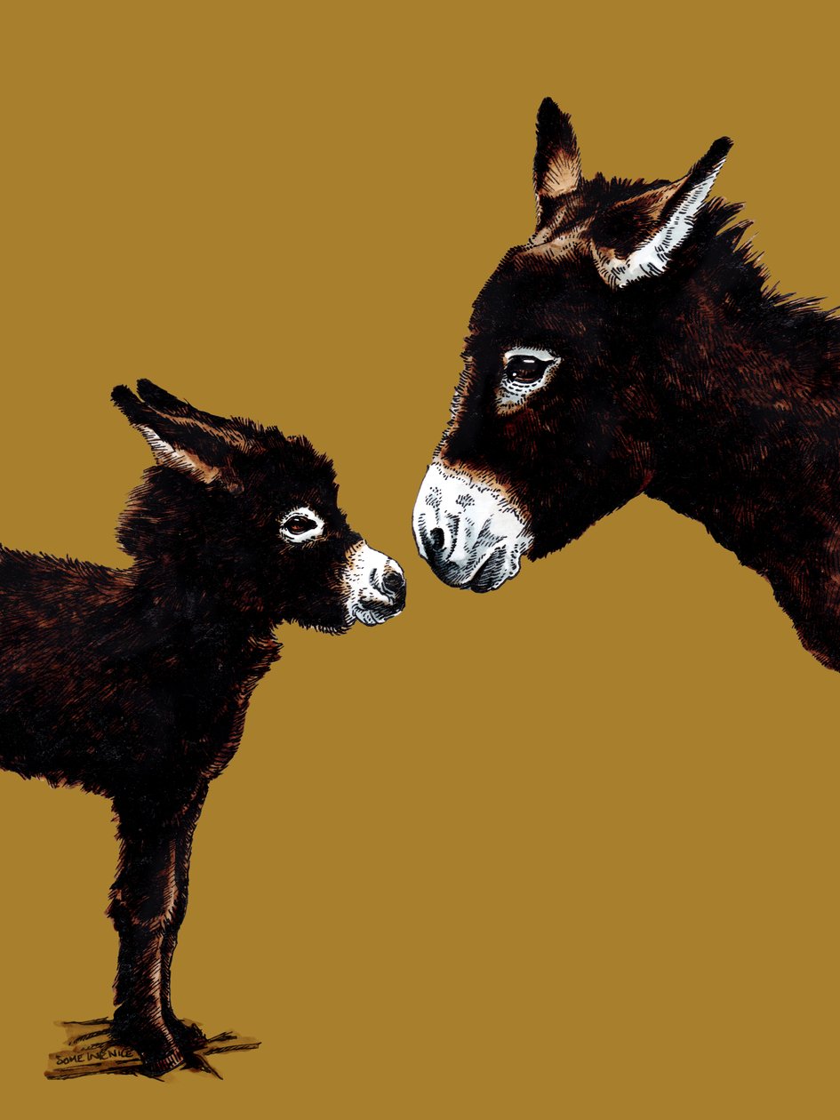 Burro madre y bebé en amarillo dorado, 2020 de Mike Davis