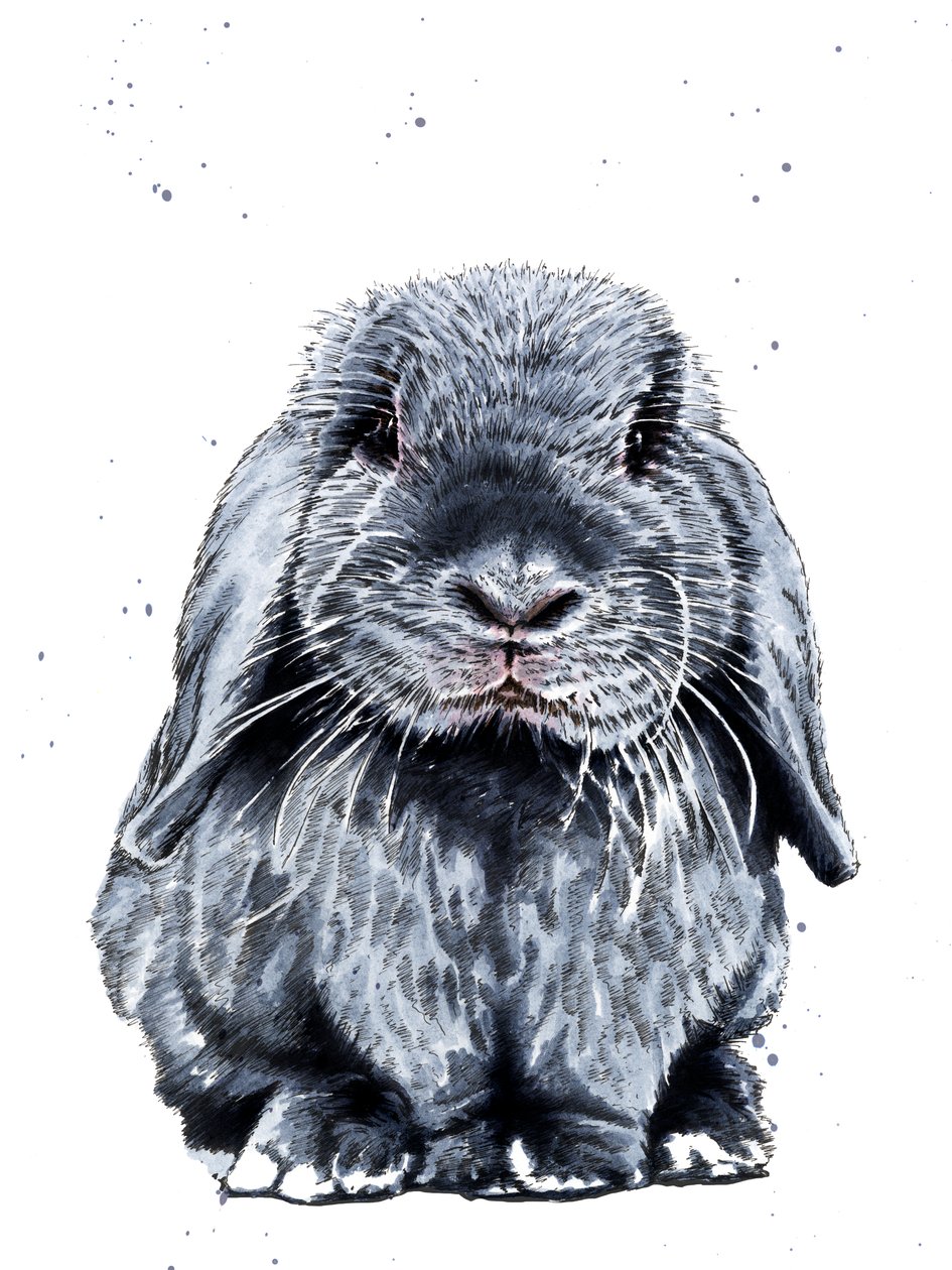 Grey One The Bunny en Blanco, 2019 de Mike Davis