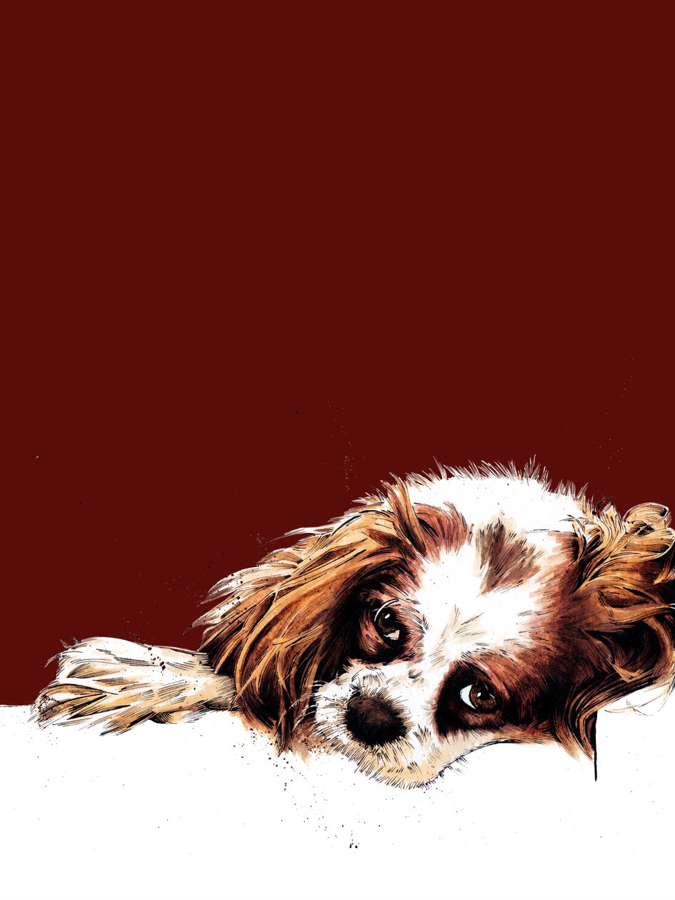 Meg The Spaniel en Óxido Rojo, 2020 de Mike Davis