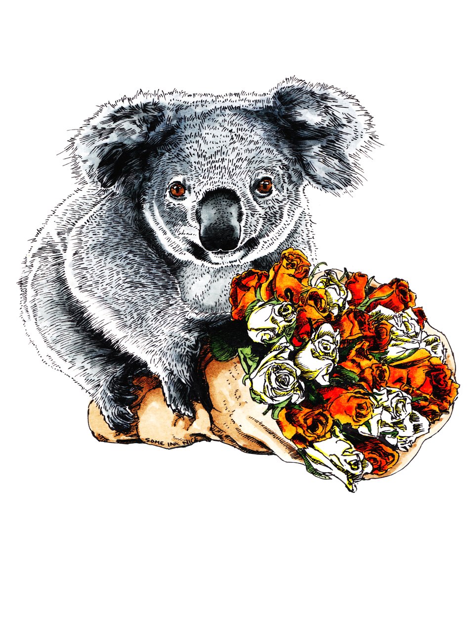 Gracias Koala on White, 2020 de Mike Davis