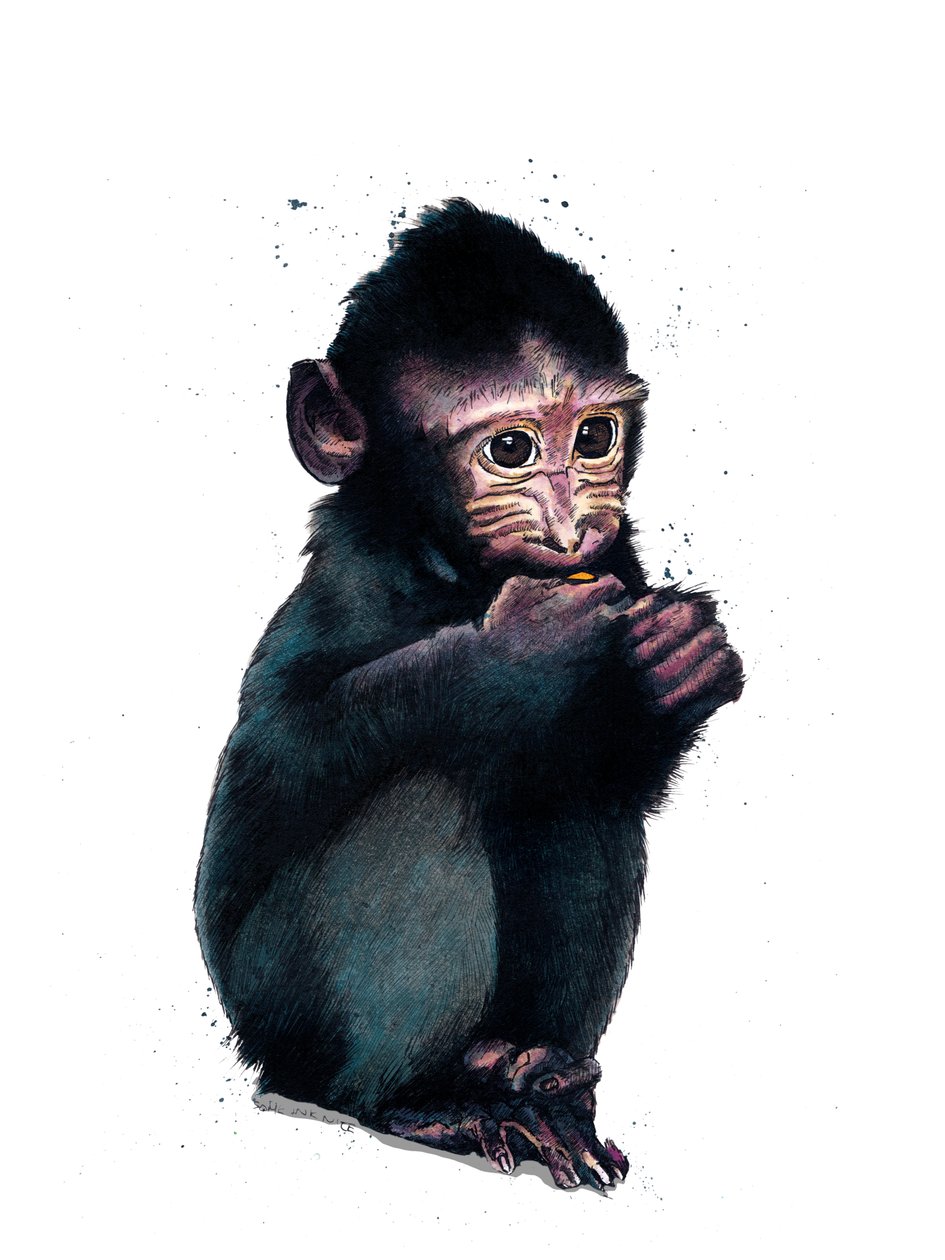 El bebé macaco en blanco, 2020 de Mike Davis