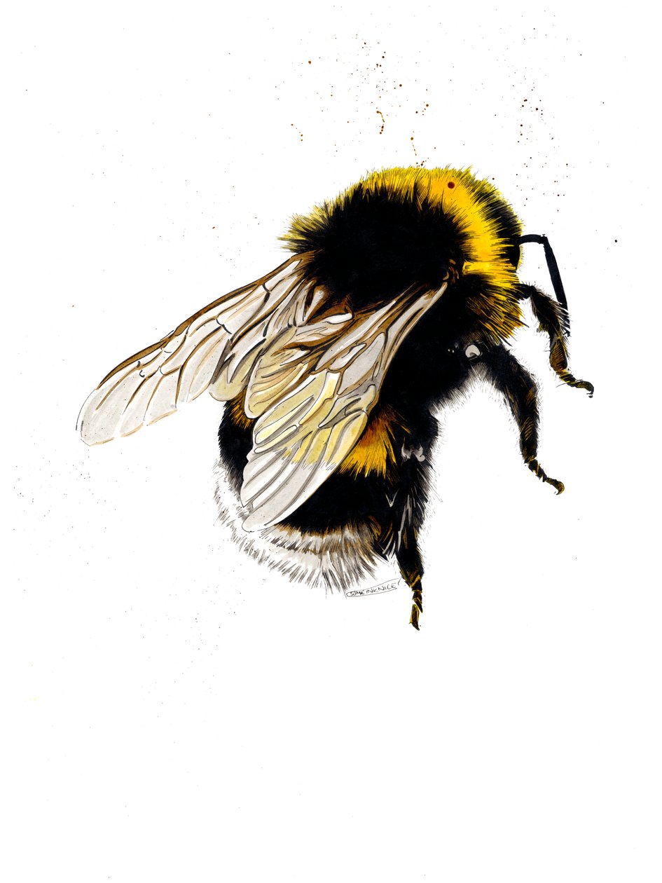 La Abeja en Blanco, 2019 de Mike Davis