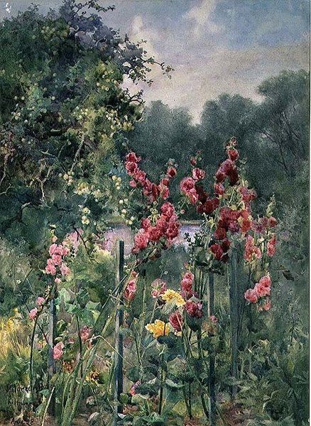 Malvarrosas de Mildred Anne Butler