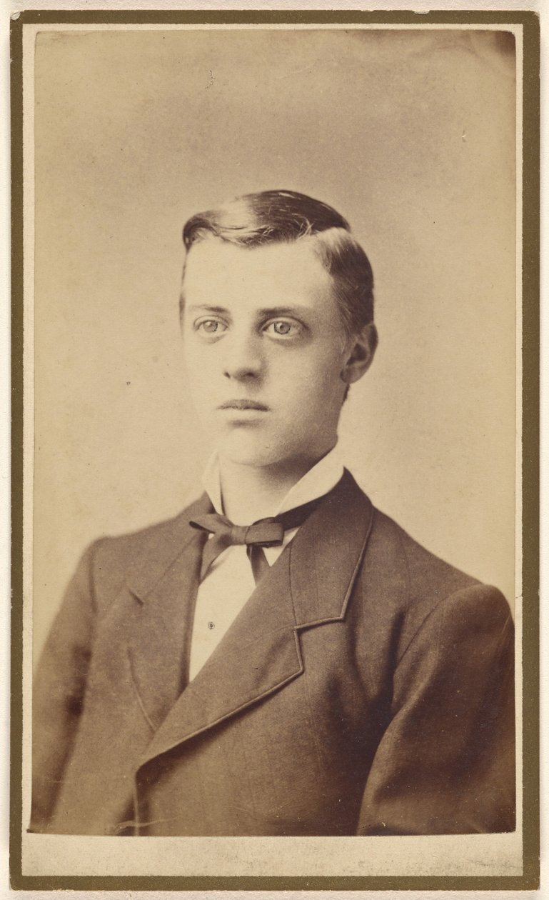[Busto retrato de un hombre no identificado] de Miller and Company