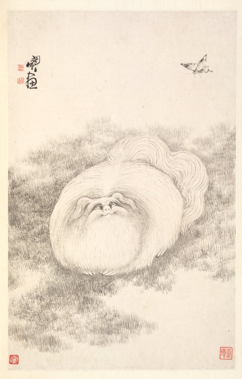 Gato y Mariposa, 1788 de Min Zhen