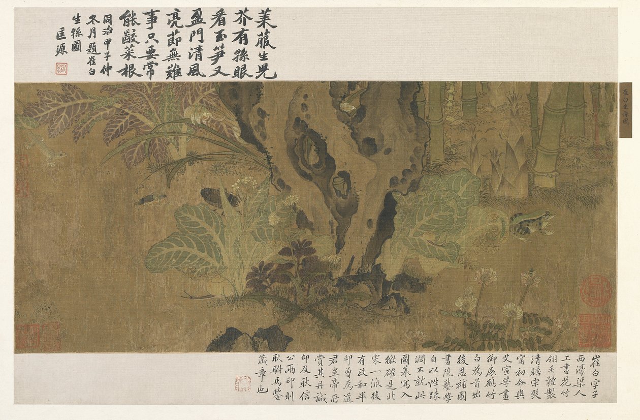 Bambú, rana e insectos de Ming Dynasty Chinese School