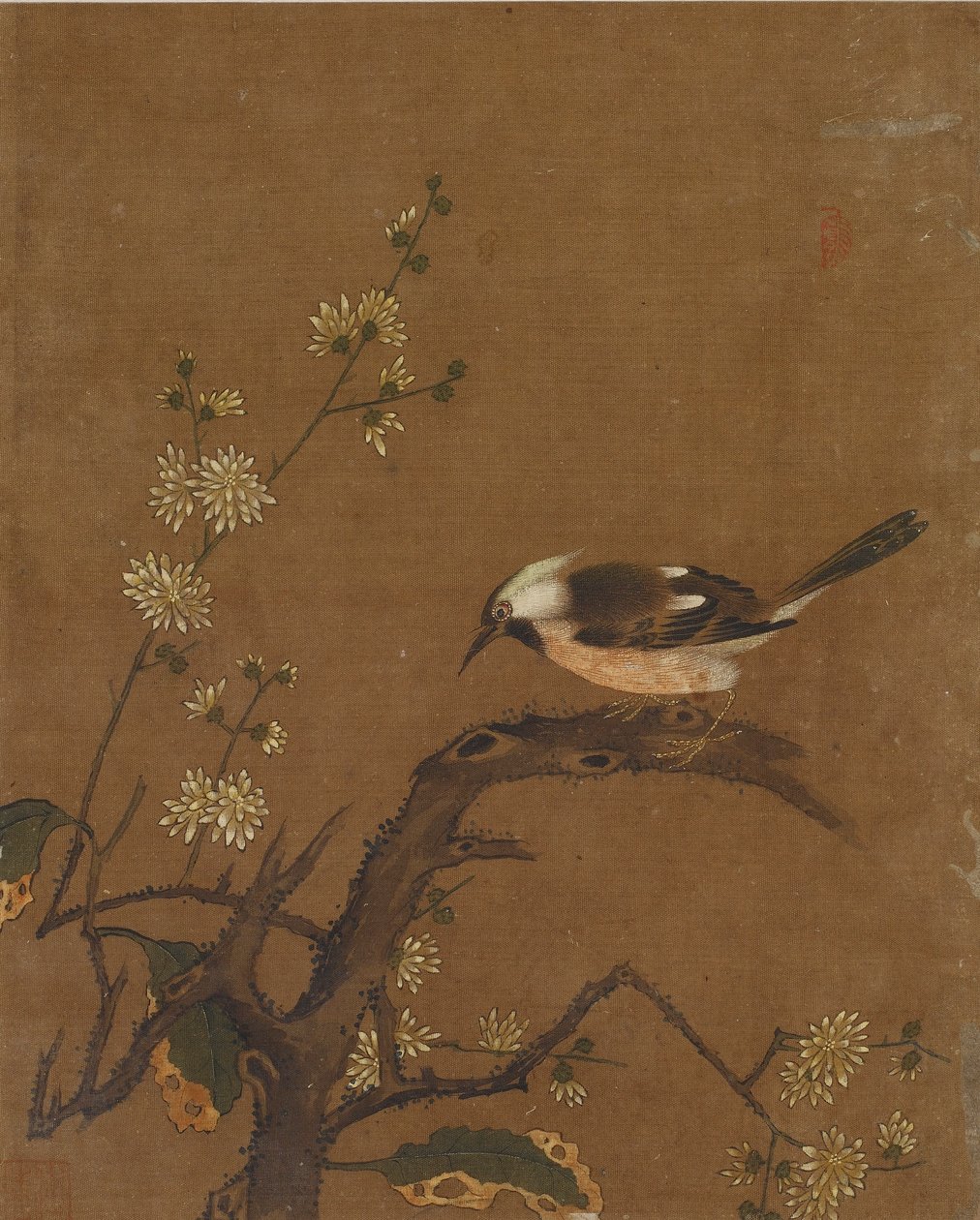 Diez imágenes de aves y flores de Ming Dynasty Chinese School