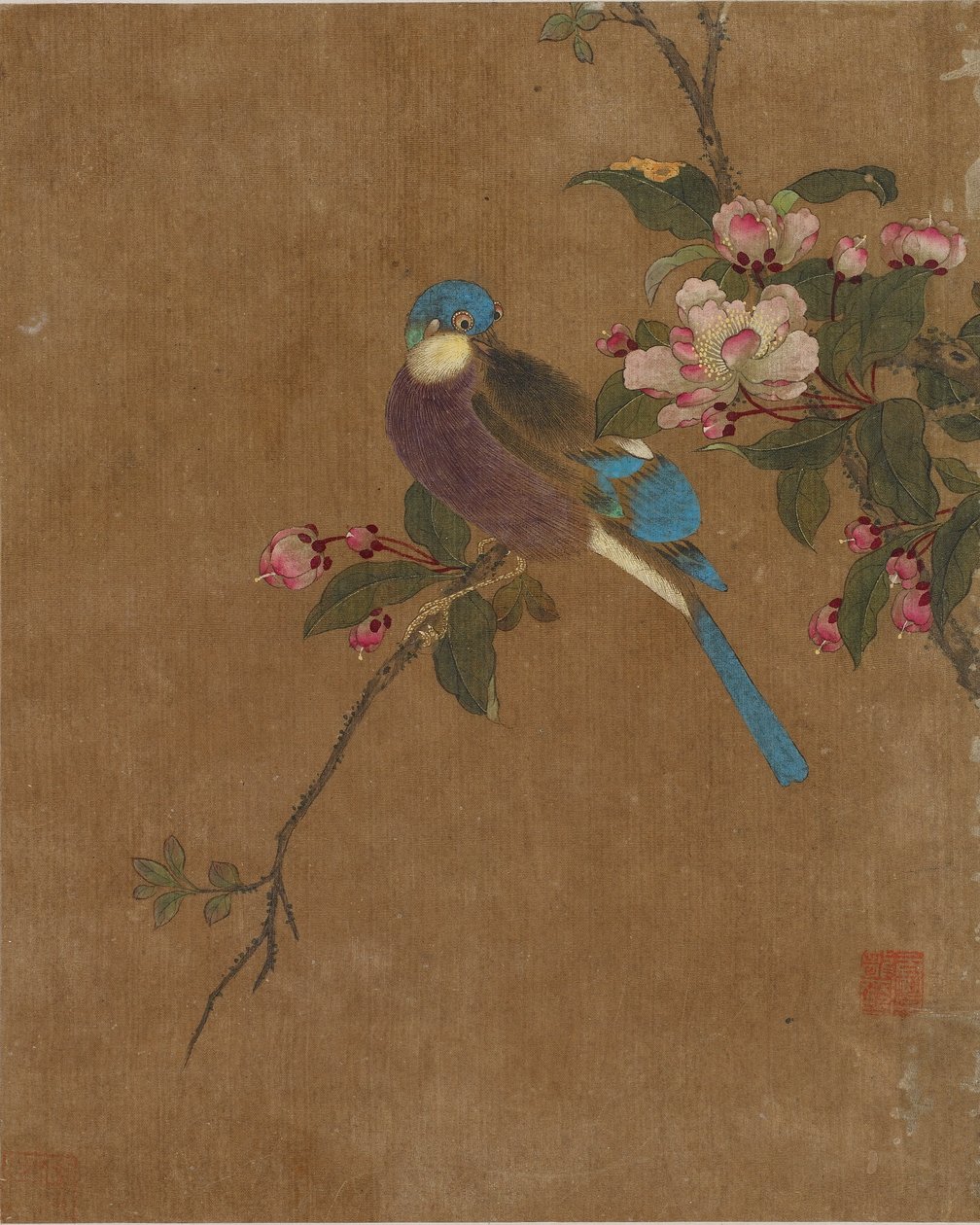Diez imágenes de aves y flores de Ming Dynasty Chinese School