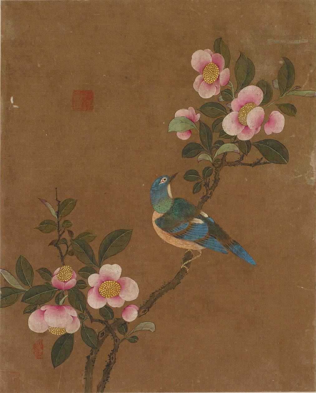 Diez imágenes de aves y flores de Ming Dynasty Chinese School