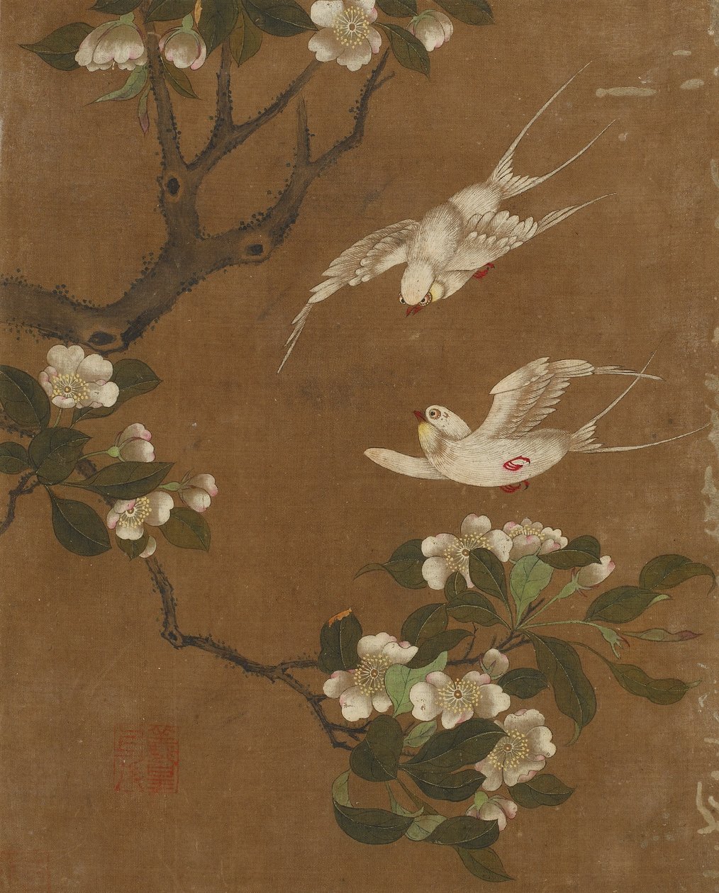 Diez imágenes de aves y flores de Ming Dynasty Chinese School