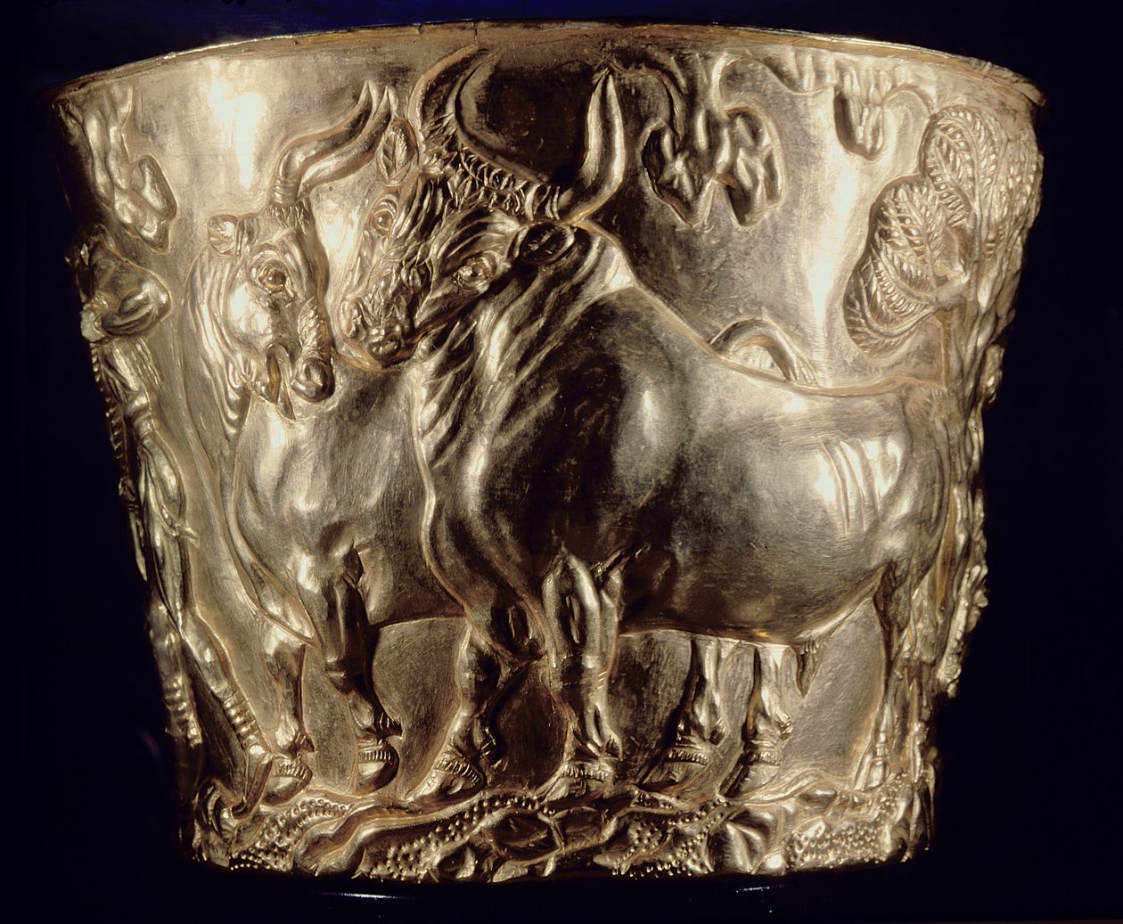 Copa, que representa un toro doméstico, encontrada en la tumba real de Vaphio, Esparta, Minoico tardío I, c.1500 a.C. de Minoan