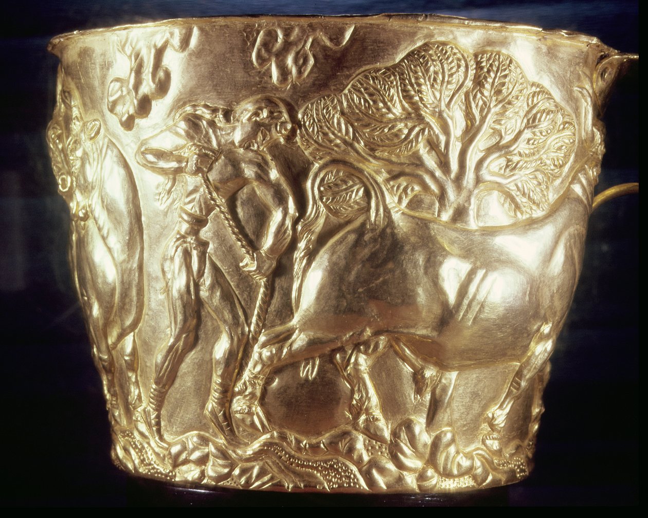 Copa, que representa un toro doméstico, encontrada en la tumba real de Vaphio, Esparta, finales del Minoico I, c.1500 a.C. de Minoan