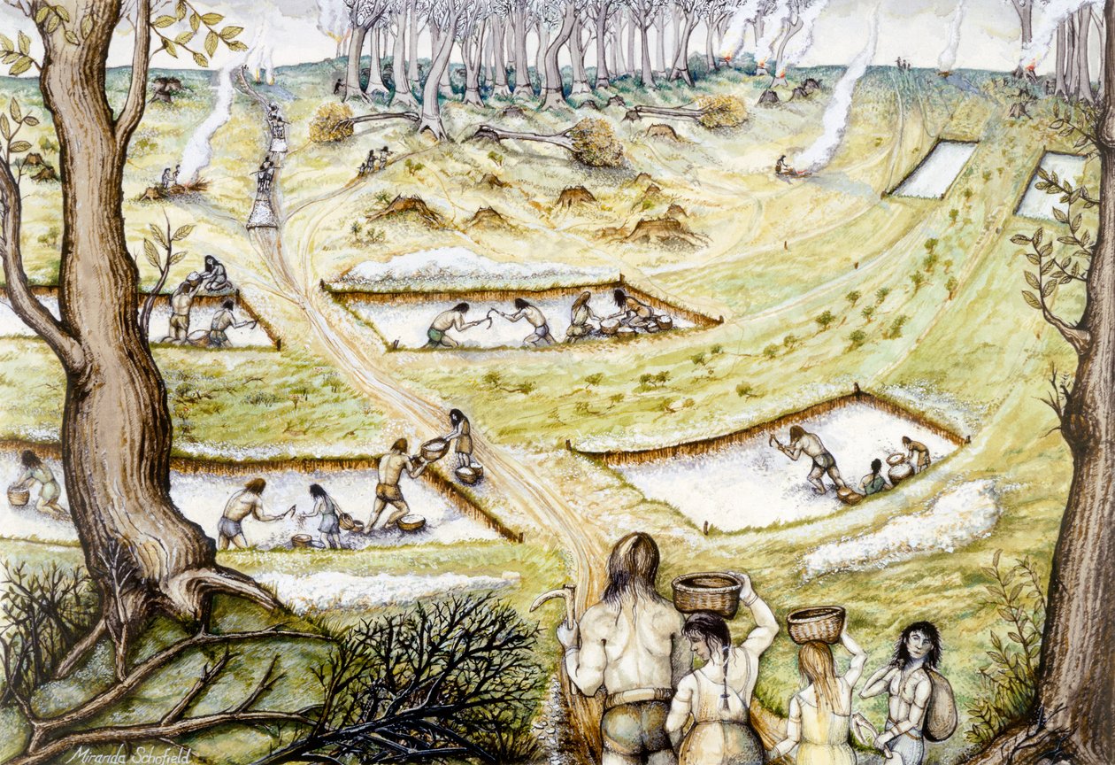 Cavando zanjas de defensa, c. siglo V a.C., c.1990-2010 de Miranda Schofield