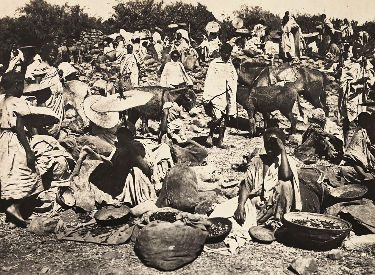 Construyendo un Imperio en la era fascista: mercado abisinio, 09/05/1936 de Modestino Baldinetti