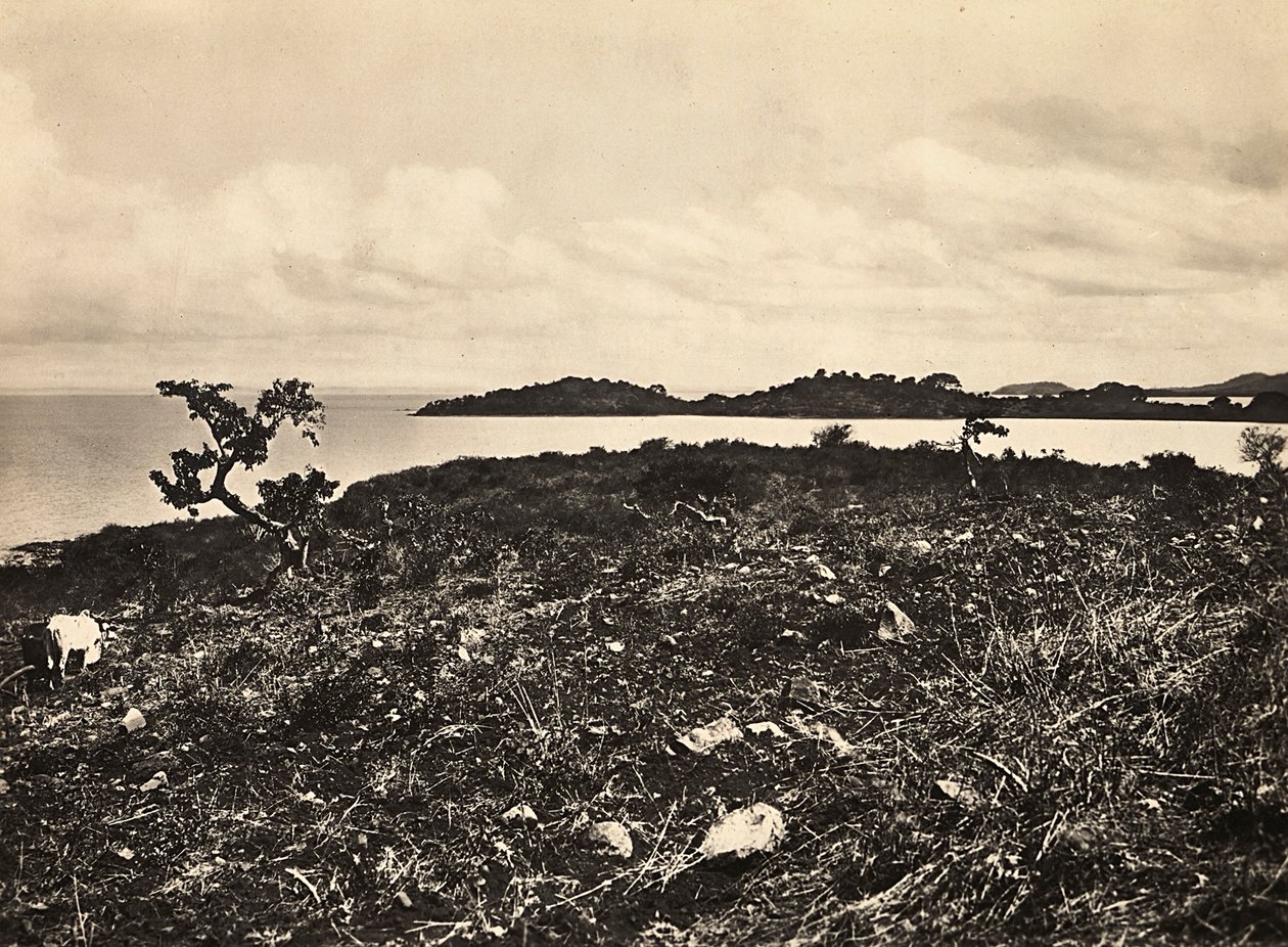 Construyendo un Imperio en la era fascista: Lago Tana. Etiopía, 09/05/1936 (foto en b/n) de Modestino Baldinetti