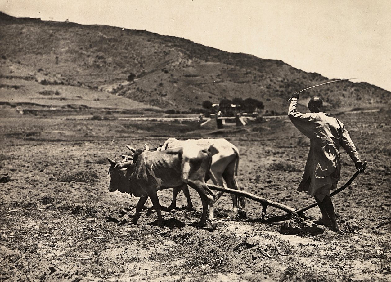 Construyendo un Imperio en la era fascista: arando en el altiplano, 09/05/1936 de Modestino Baldinetti