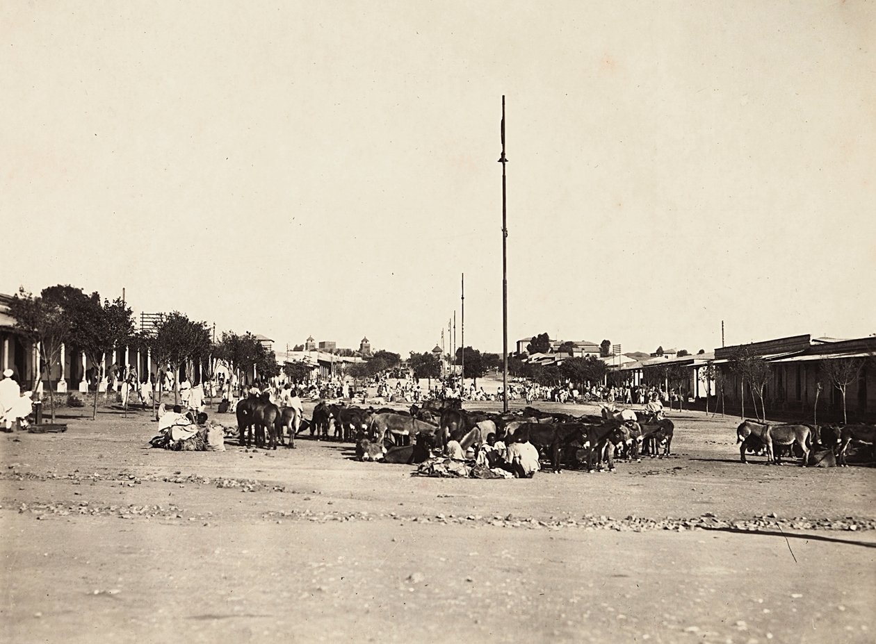 Construyendo un Imperio en la era fascista: la antigua plaza del mercado de Asmara, 09/05/1936 de Modestino Baldinetti