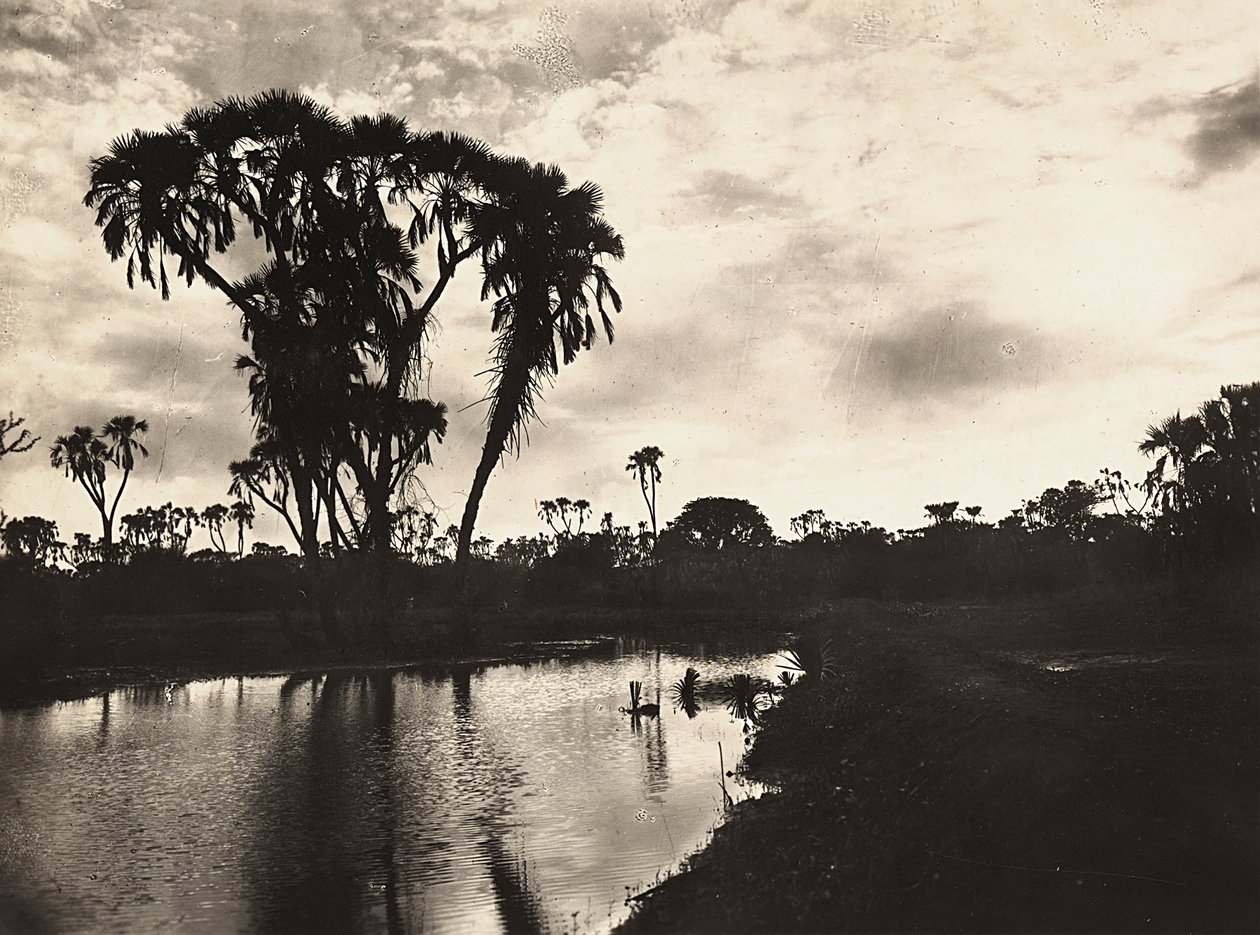 Construyendo un Imperio en la era fascista: llanura baja occidental, 09/05/1936 (foto en b/n) de Modestino Baldinetti