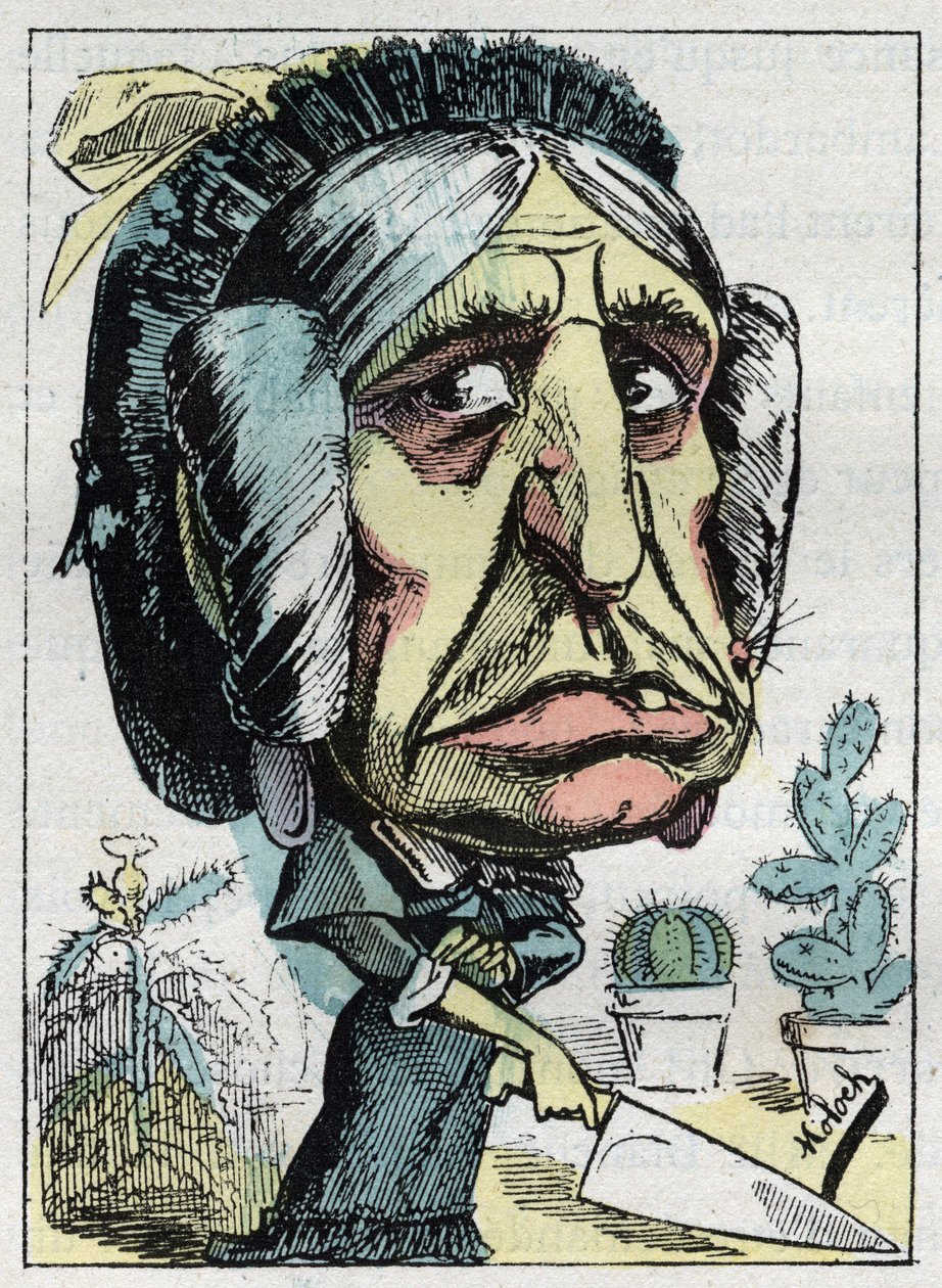 Alegoría de la "madrastra" (Belle mere) en "Le Trombinoscope" por Touchatout, caricatura de B. Moloch de 1882. Colección privada. de Moloch