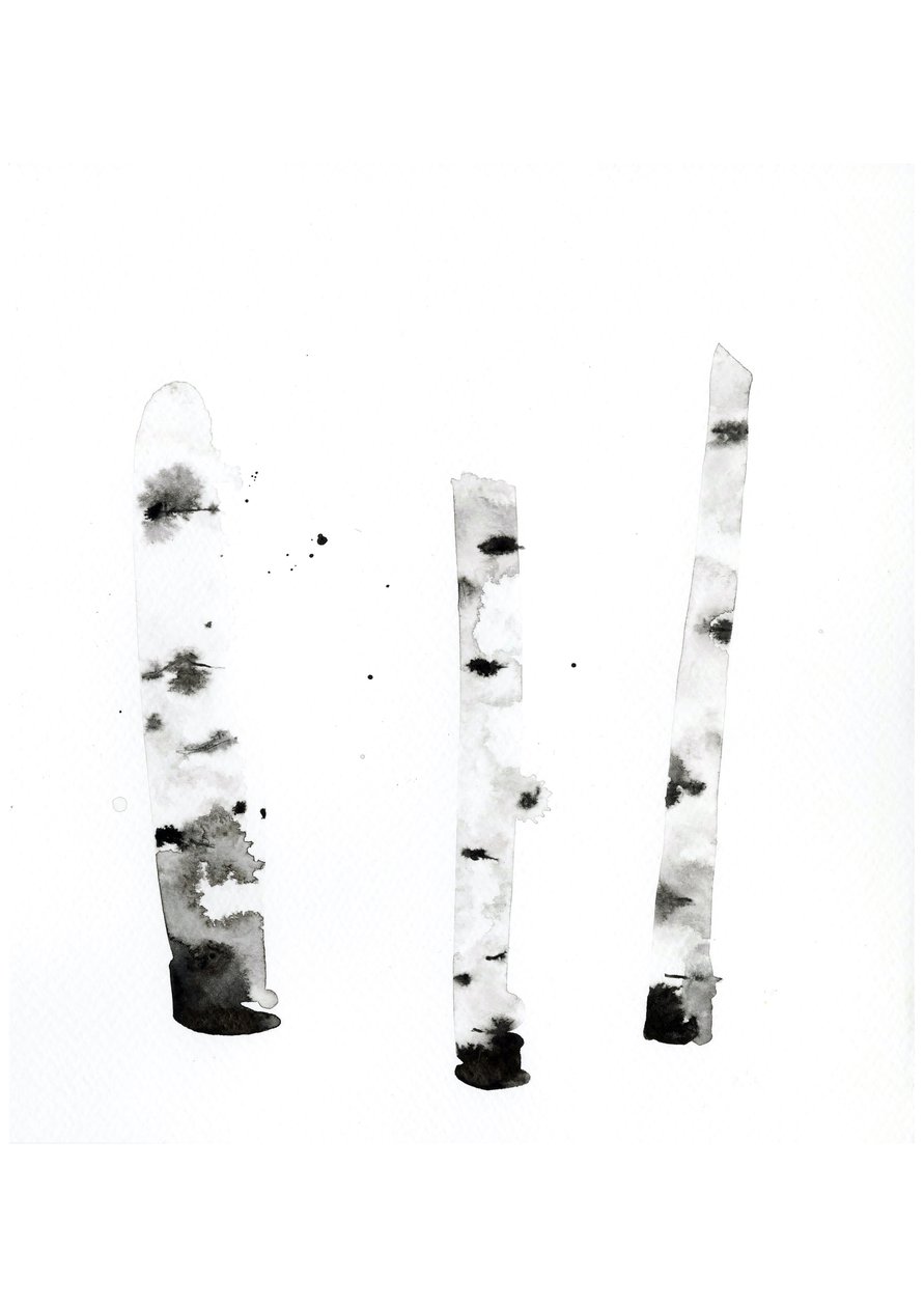 Ghost Birch, 2022 (acuarela sobre papel Langton de 300 g/m² prensado en frío) de Monica Perez Vega