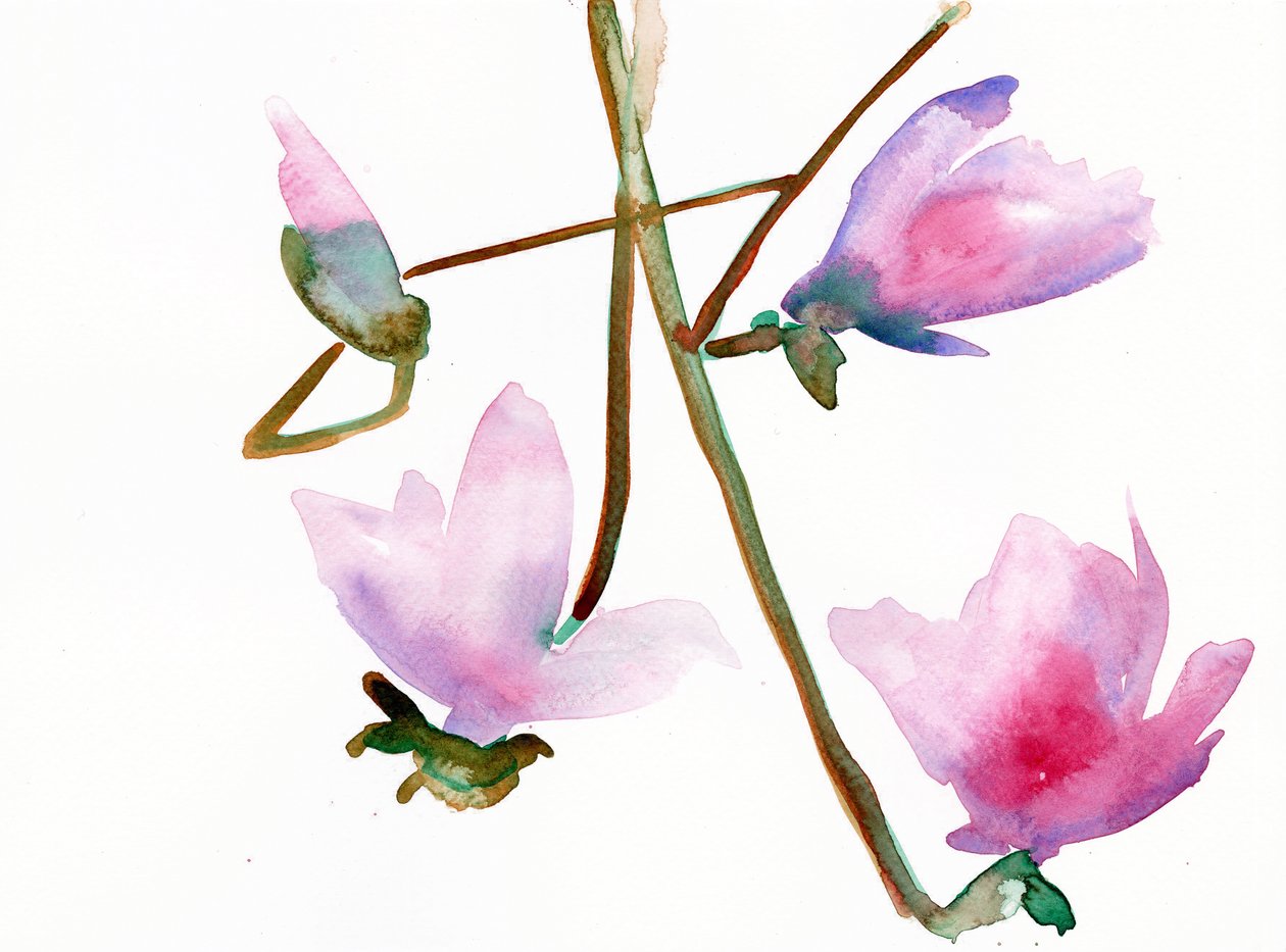 Magnolia 1, 2022 (acuarela sobre papel Langton de 300 g/m² prensado en frío) de Monica Perez Vega