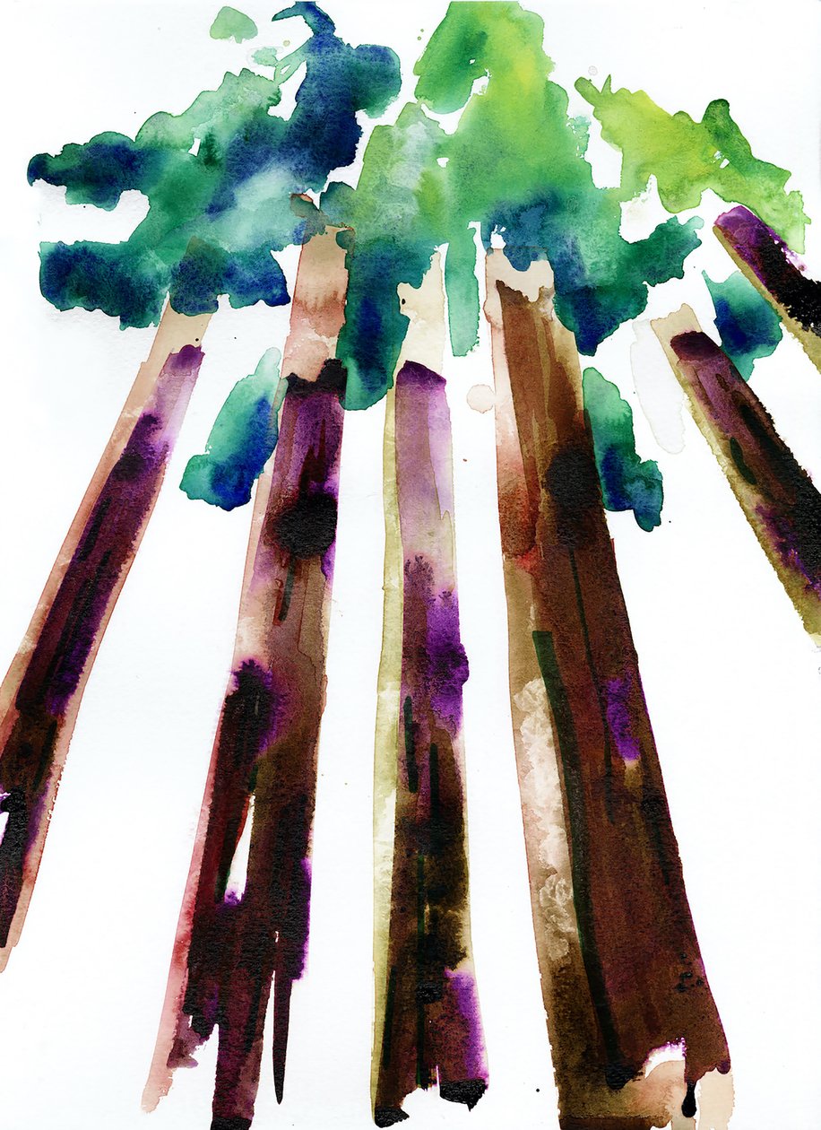 Sequoia, 2021 (acuarela sobre papel Langton de 300 g/m² prensado en frío) de Monica Perez Vega
