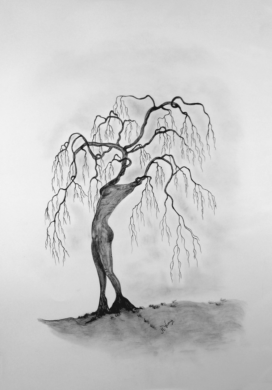 Muerte de un árbol 3 de Monika Wittrich