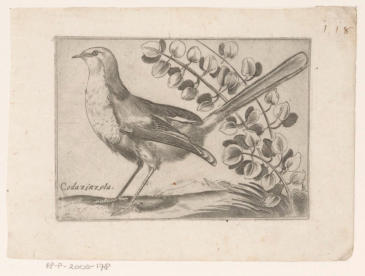 Vogel Codazinzola (título sobre objeto) Vogels (título de la serie) de Monogrammist AG