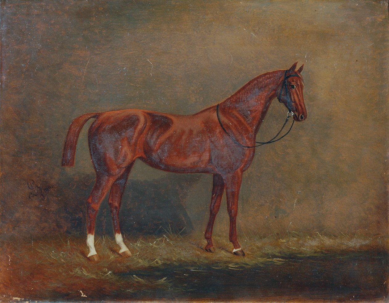 retrato, de, un, equitación, caballo de Monogrammist A. G.
