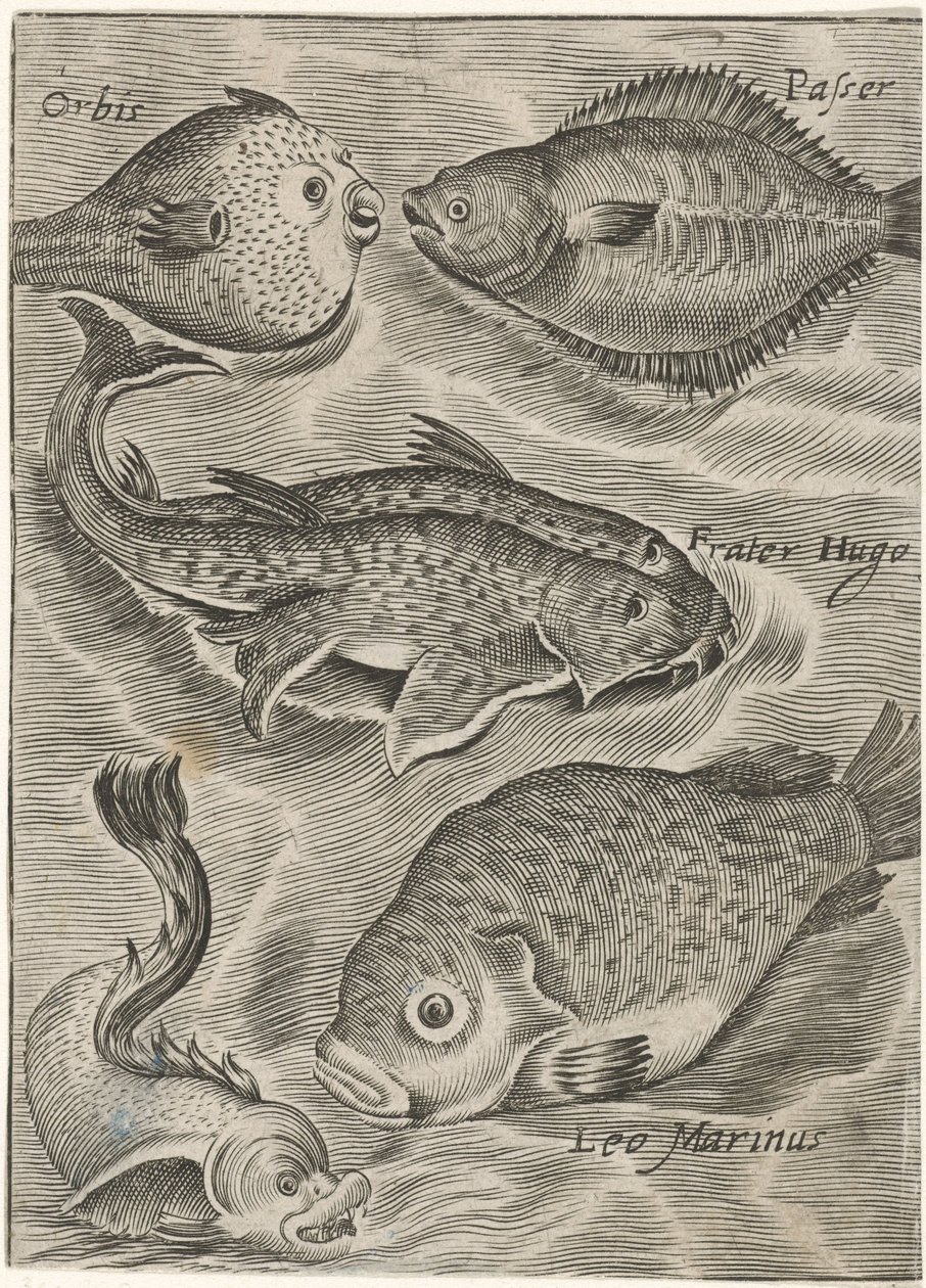 Studieblad se reunió de manera diferente Iconos vivos de peces (título de la serie) de Monogrammist P+P