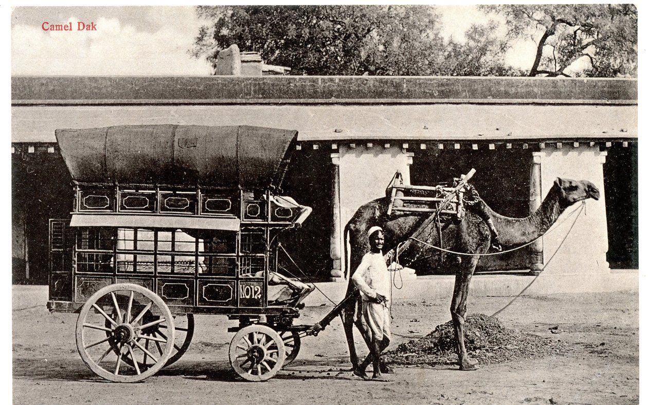 Camel Dak, c.1911-12 (foto sepia) de Moorli Dhur and Sons