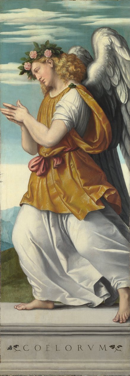 Un ángel adorador (1) de Moretto da Brescia