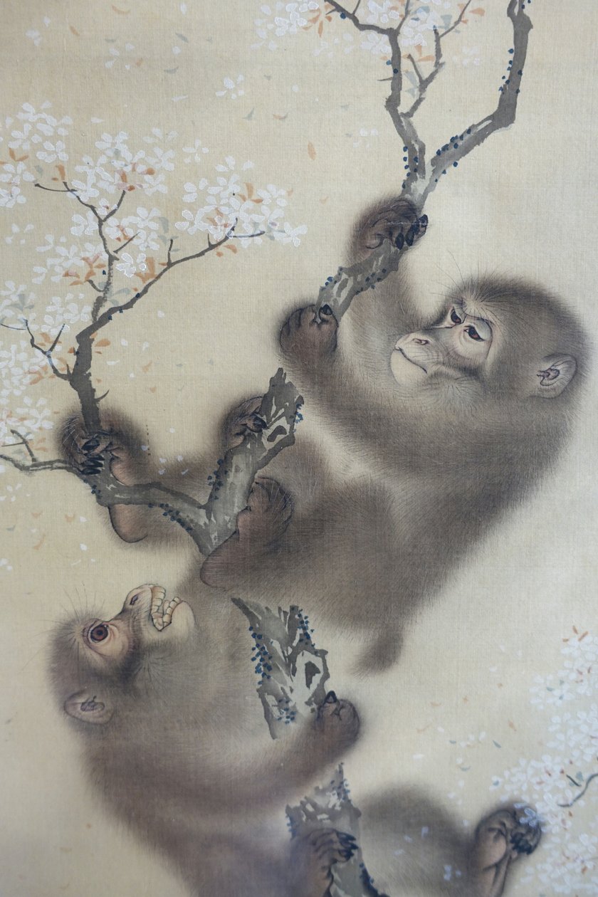 Monos en un cerezo en flor, 1 de 2, Mori Sosen, Japón, periodo Edo, principios de 1800, tinta y color sobre seda - Arthur M. Sackler Museum, Harvard University - DSC01127 de Mori Sosen